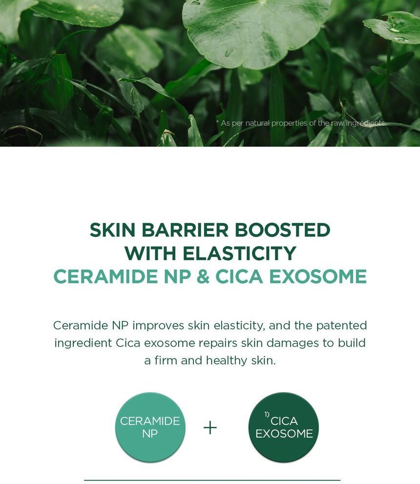 SKIN1004 - Madagascar Centella Tea-Trica B5 Cream 75ml - Gallery 11