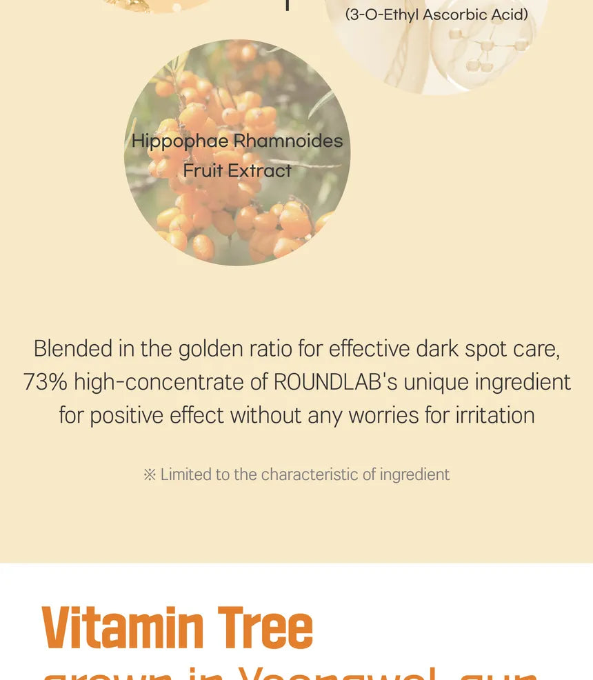 Round Lab - Vita Niacinamide Dark Spot Serum - Gallery 4