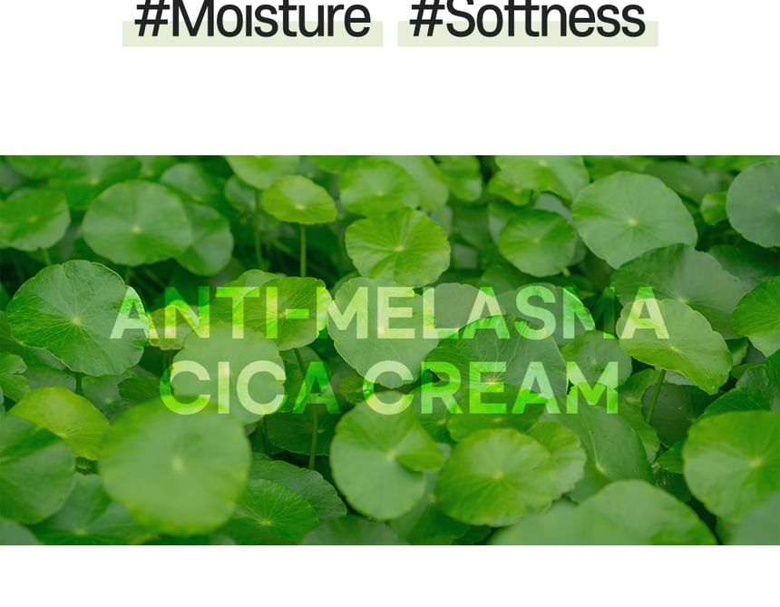 CARE:NEL - Anti-Melasma Cica Cream 40ml - Gallery 17