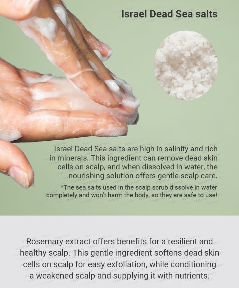 AROMATICA - Rosemary Scalp Scrub - Gallery 3