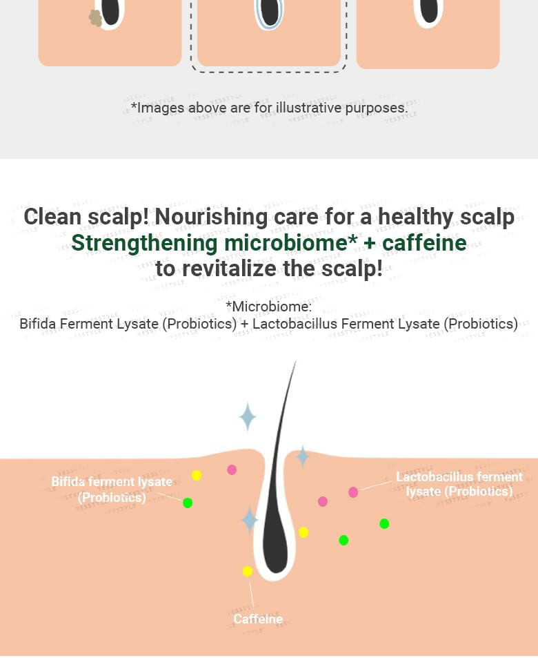 AROMATICA - Rosemary Scalp Scrub - Gallery 6