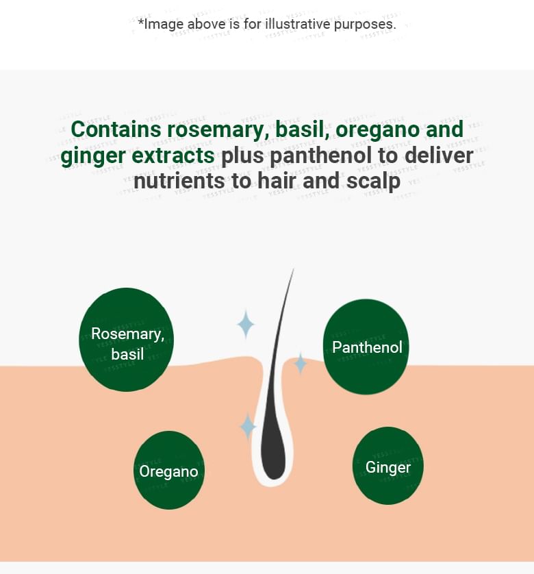 AROMATICA - Rosemary Scalp Scrub - Gallery 7