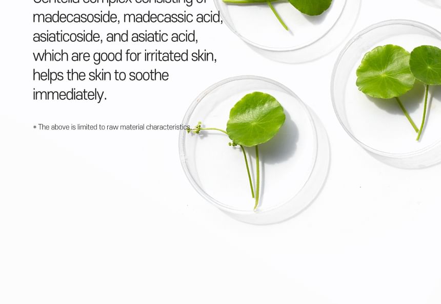 CARE:NEL - Anti-Melasma Cica Cream 40ml - Gallery 28