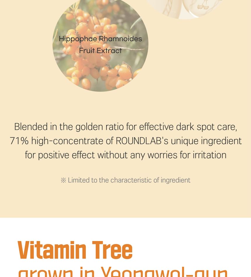 ROUND LAB - Vita Niacinamide Dark Spot Cream - Gallery 5