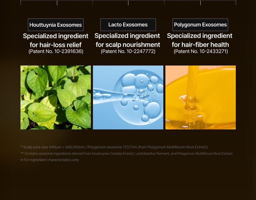 lilyeve - Grow Turn Exosome Brush Ampoule - Gallery 8