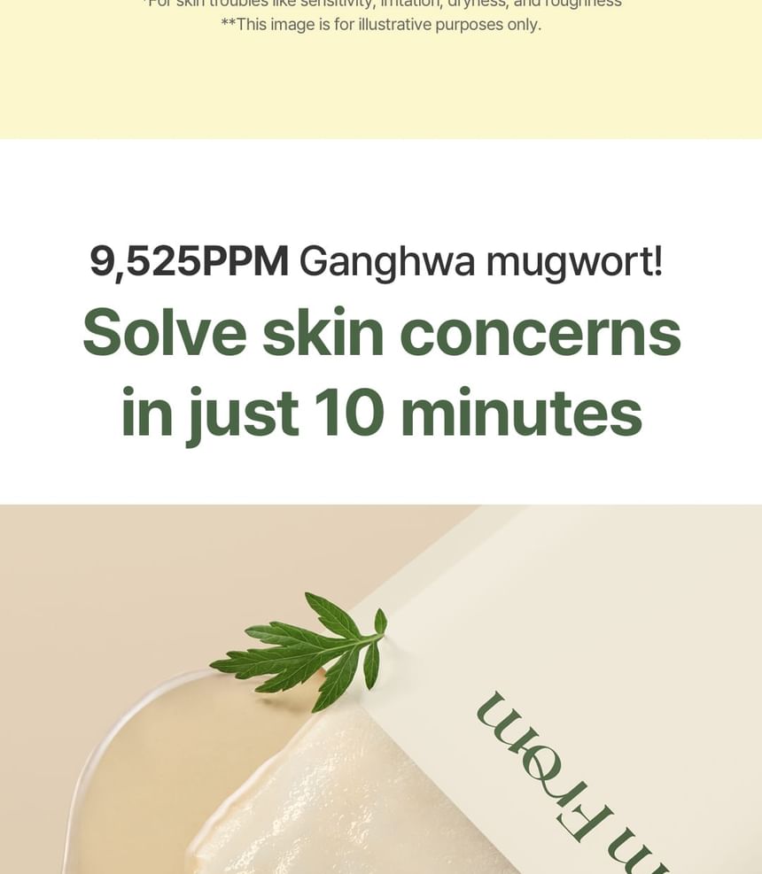 I'm from - Mugwort Sheet Mask - Gallery 10
