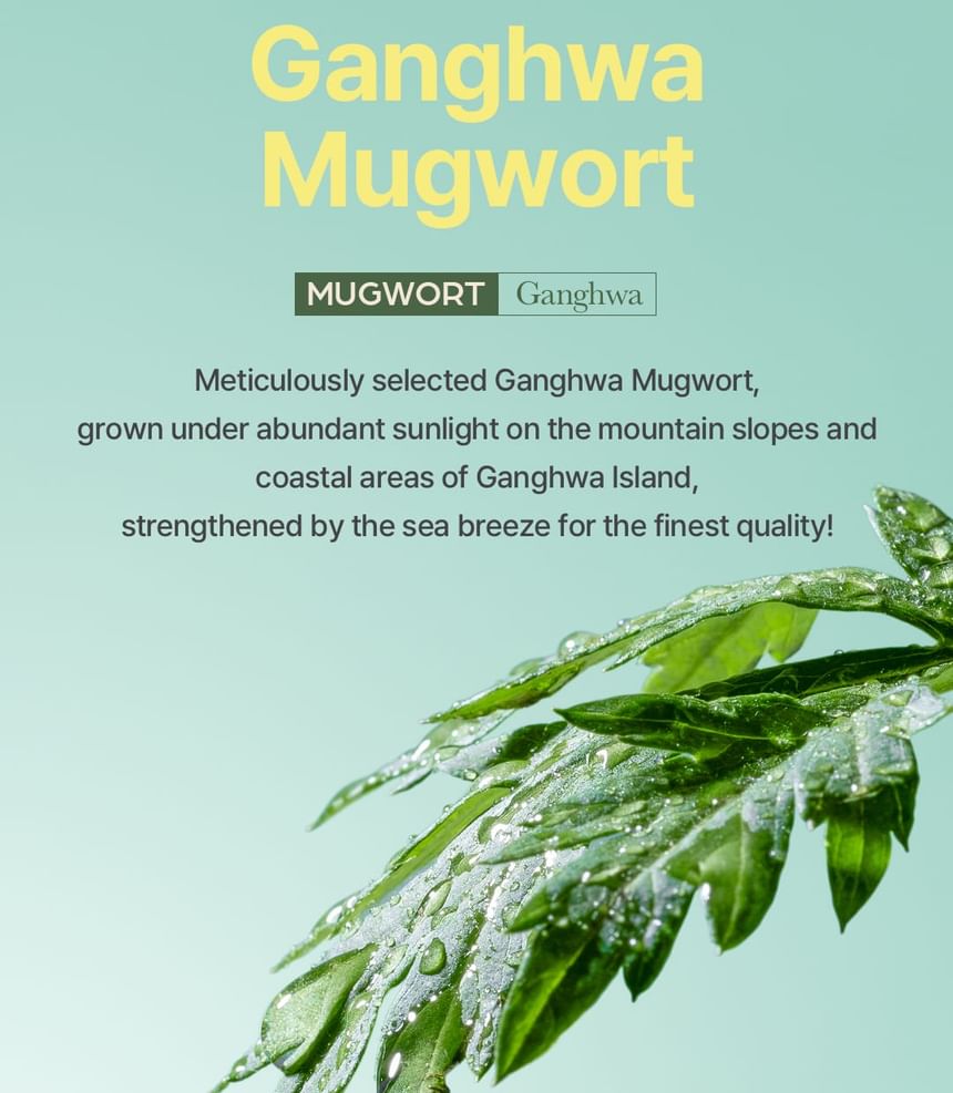 I'm from - Mugwort Sheet Mask - Gallery 17