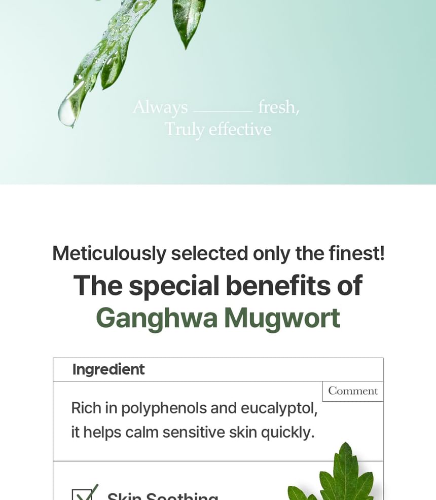 I'm from - Mugwort Sheet Mask - Gallery 18