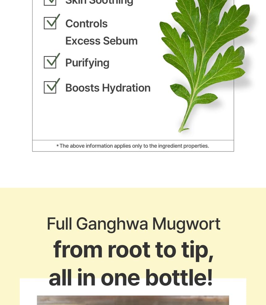 I'm from - Mugwort Sheet Mask - Gallery 19