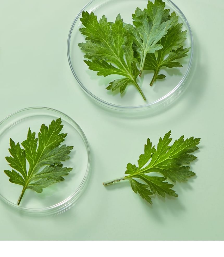 I'm from - Mugwort Sheet Mask - Gallery 22